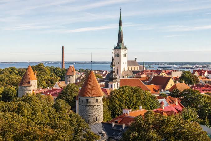 Understanding the Terminology Used in Private Companionship in Estonia